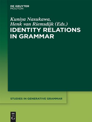 cover image of Identity Relations in Grammar